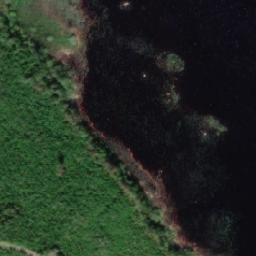 Satellite imagery of Halkoharjunniemi, FI