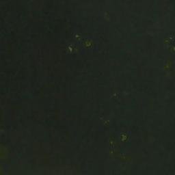 Satellite imagery of Haapaniemi, FI
