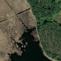 Satellite imagery of Muhkalanniemi, FI