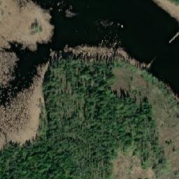 Satellite imagery of Muhkalanniemi, FI
