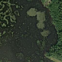 Satellite imagery of Jouteenniemi, FI