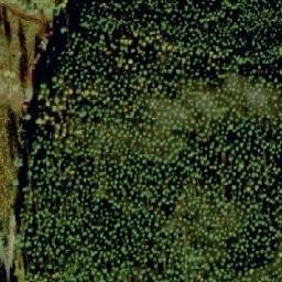 Satellite imagery of Nuottiniemi, FI