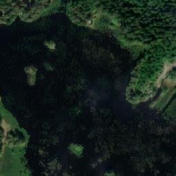 Satellite imagery of Koitamonniemi, FI