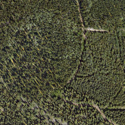 Satellite imagery of Tantalus Butte, CA