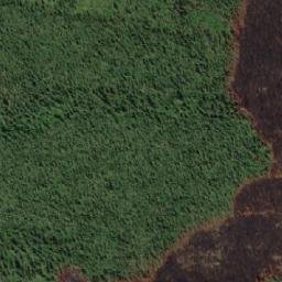 Satellite imagery of Telegraph Mountain, CA
