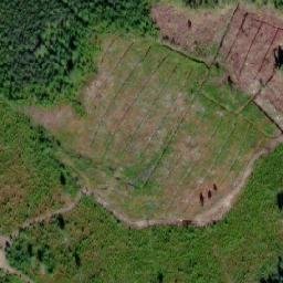 Satellite imagery of Siilinkivi, FI