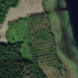 Satellite imagery of Venäihenniemi, FI