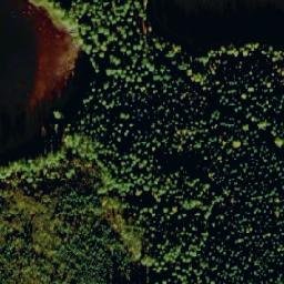 Satellite imagery of Pöllökallio, FI