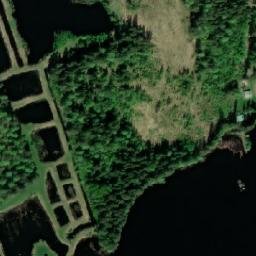 Satellite imagery of Louhiniemi, FI