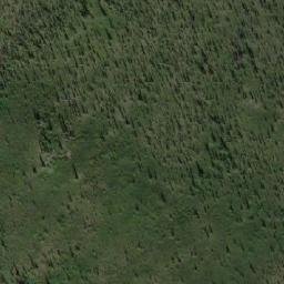 Satellite imagery of Bushy Mountain, CA