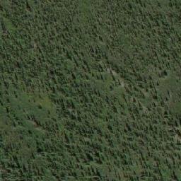Satellite imagery of Bushy Mountain, CA