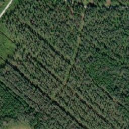Satellite imagery of Tänkynniemi, FI