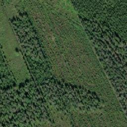 Satellite imagery of Tänkynniemi, FI