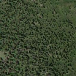 Satellite imagery of Bushy Mountain, CA