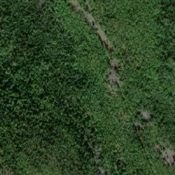 Satellite imagery of Shadow Mountain, CA