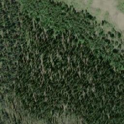 Satellite imagery of Shadow Mountain, CA