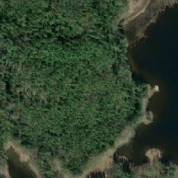 Satellite imagery of Lokinsaari, FI