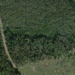 Satellite imagery of Ankoniemi, FI