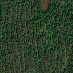 Satellite imagery of Koppelinniemi, FI