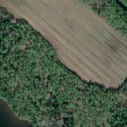 Satellite imagery of Savikkoniemi, FI