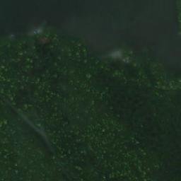 Satellite imagery of Juuvinniemi, FI