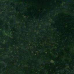Satellite imagery of Haueneset, NO