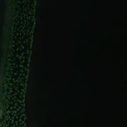 Satellite imagery of Katosniemi, FI