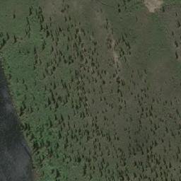 Satellite imagery of Tanglefoot Mountain, CA