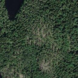 Satellite imagery of Siiraniemi, FI