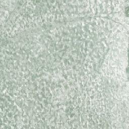 Satellite imagery of Tartunniemi, FI