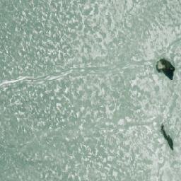 Satellite imagery of Alhonkallio, FI