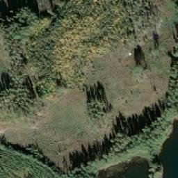 Satellite imagery of Typsykkäniemi, FI