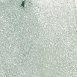 Satellite imagery of Saunasaari, FI
