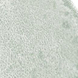 Satellite imagery of Salkoniemi, FI