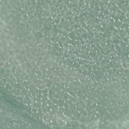Satellite imagery of Onkiluoto, FI