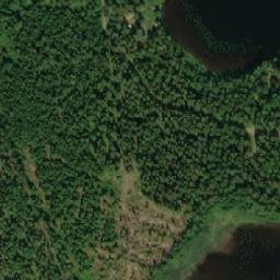 Satellite imagery of Koppelinniemi, FI