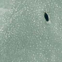 Satellite imagery of Rajaniemenkärki, FI