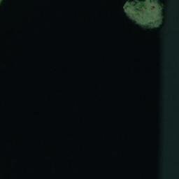 Satellite imagery of Ellikallio, FI