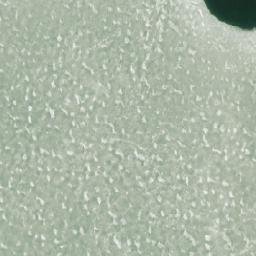 Satellite imagery of Tetrenpaadensaaret, FI