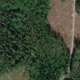 Satellite imagery of Likaniemi, FI