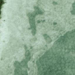 Satellite imagery of Aittoniemi, FI