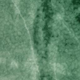 Satellite imagery of Lavikanniemi, FI