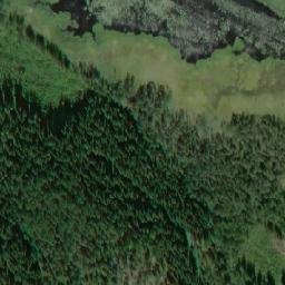 Satellite imagery of Letkunniemi, FI
