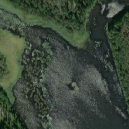 Satellite imagery of Letkunniemi, FI