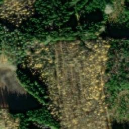 Satellite imagery of Ilveskivi, FI