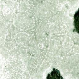 Satellite imagery of Lehtiniemi, FI