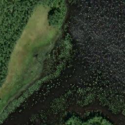 Satellite imagery of Impinkärki, FI