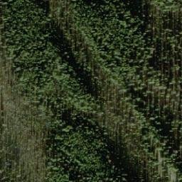 Satellite imagery of Contact Mountain, CA