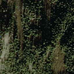 Satellite imagery of Contact Mountain, CA