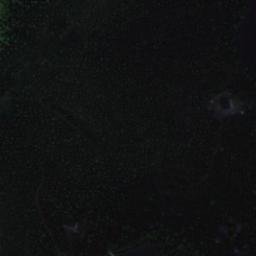 Satellite imagery of Hämäläisniemi, FI